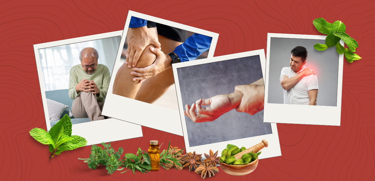 Top 7 Ayurvedic Herbs for Joint & Bone Health: Natural Support for Mobility