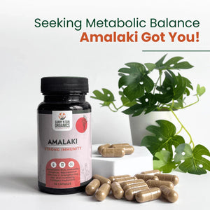 Amalaki - Garry N Sun Organics
