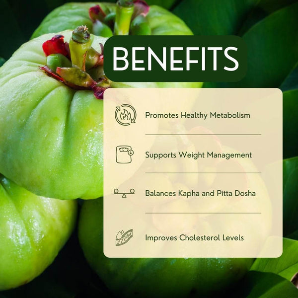 Garcinia - Garry N Sun Organics