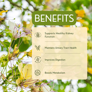 Varun - Garry N Sun Organics