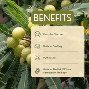 Bhumi Amalaki - Garry N Sun Organics