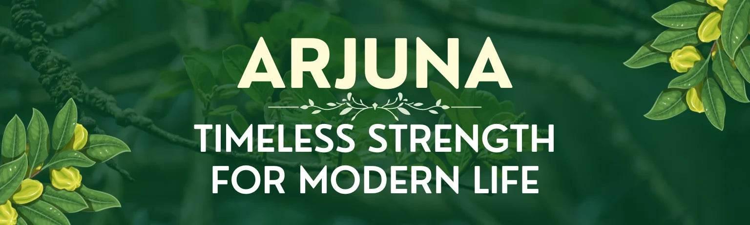 Arjuna Herb : Timeless Strength For Modern Life - Garry N Sun Organics
