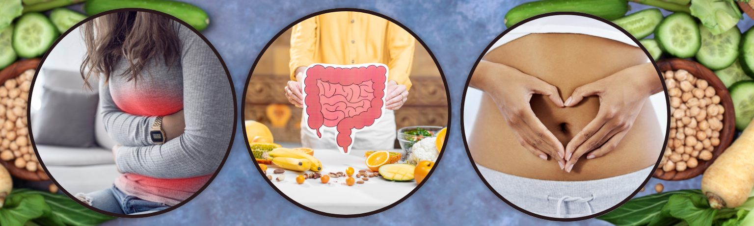 Ayurveda's Top 7 Gut Herbs: Natural Digestion Support for Everyday Wellness