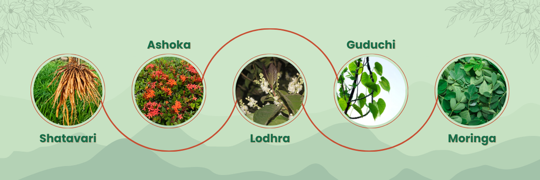 Top 5 Herbs For Hormonal Imbalance