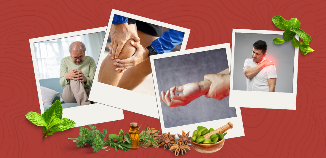 Top 7 Ayurvedic Herbs for Joint & Bone Health: Natural Support for Mobility