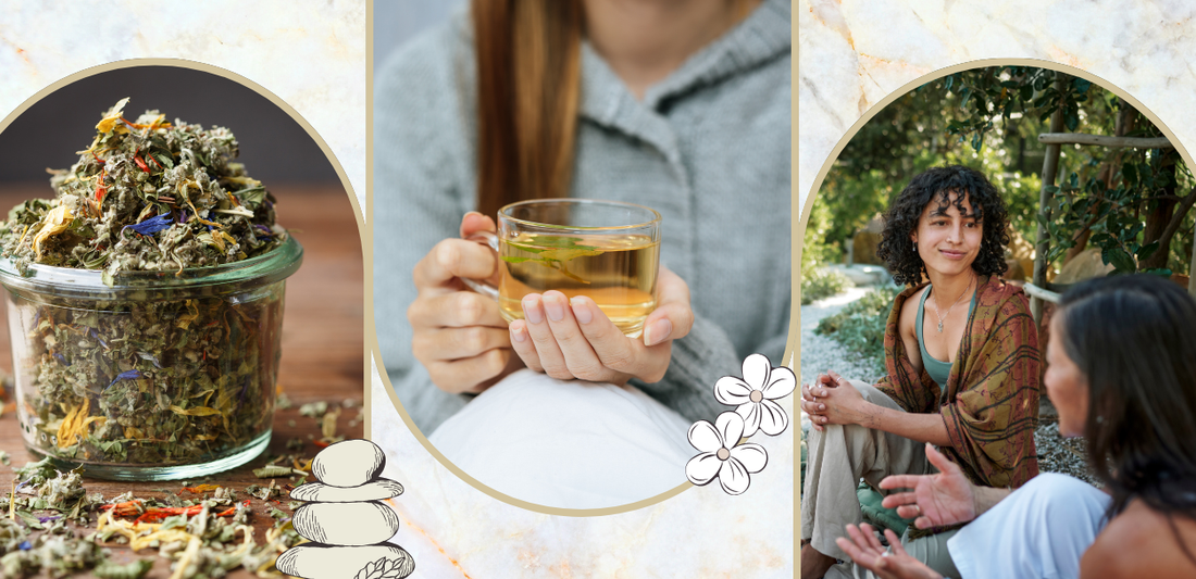 Top 7 Ayurvedic Herbs for Women’s Wellness