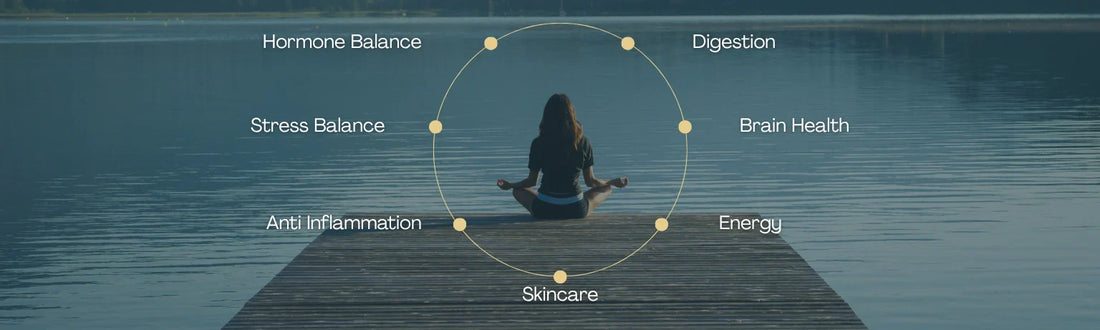 Top 7 Ayurvedic Herbs for Women’s Wellness