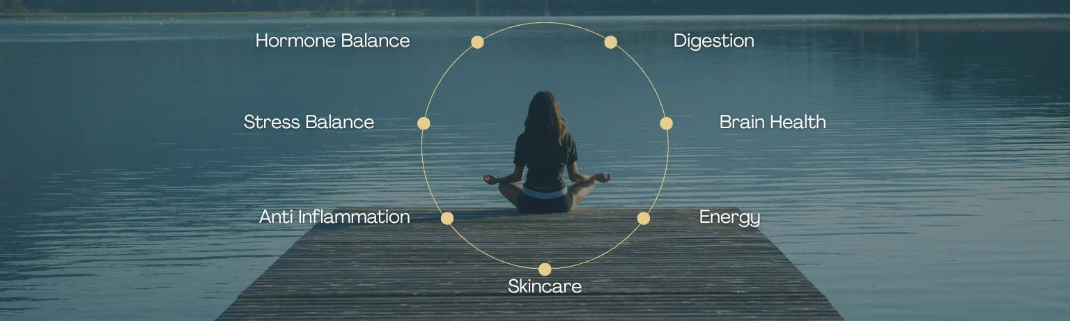 Top 7 Ayurvedic Herbs for Women’s Wellness