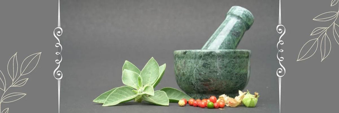 Importance Of Ayurveda In Our Modern Life - Garry N Sun Organics