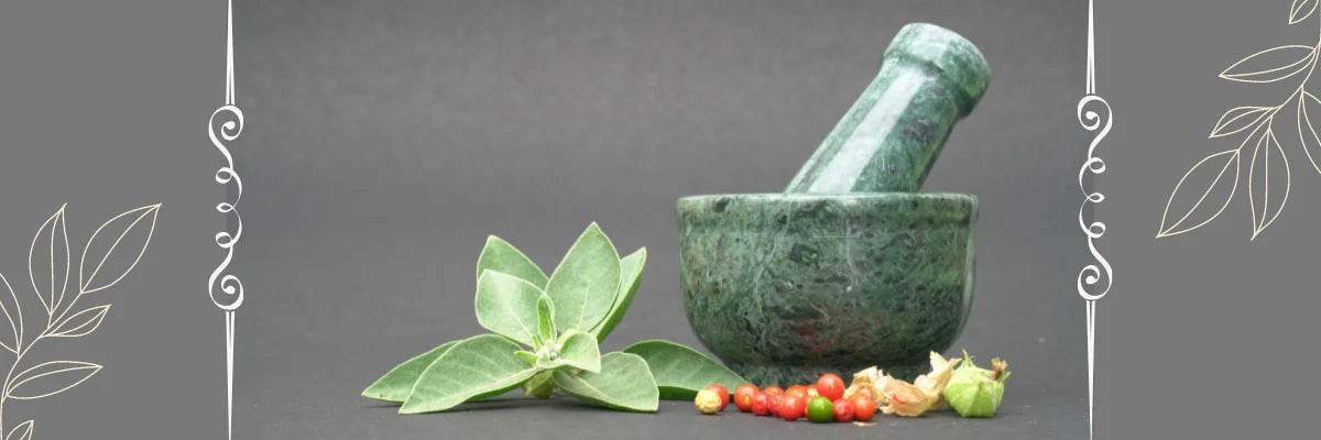 Importance Of Ayurveda In Our Modern Life - Garry N Sun Organics
