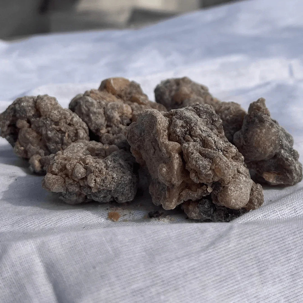 Boswellia