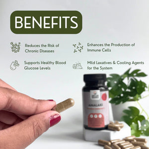 Amalaki - Garry N Sun Organics