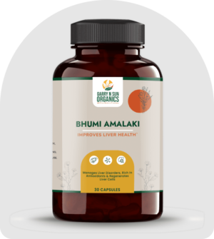 Bhumi Amalaki for Improved Liver Health: A Natural Solution
