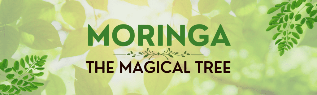 Discovering The Miracle Tree: Moringa