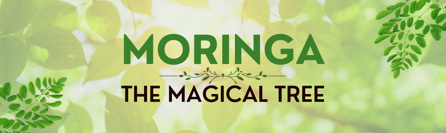 Moringa Banner